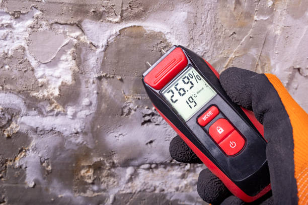 Reliable Goldendale, WA Mold Remediation Solutions