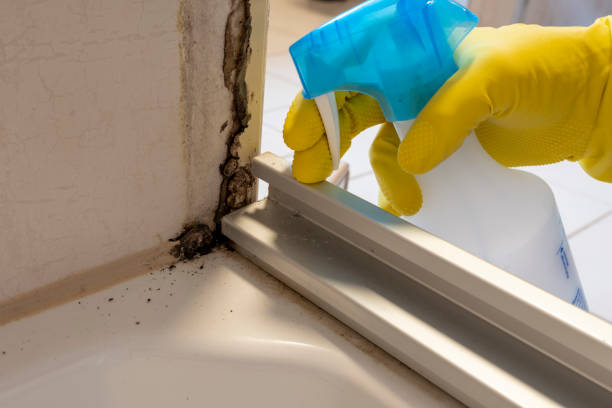 Goldendale, WA Mold Remediation Company