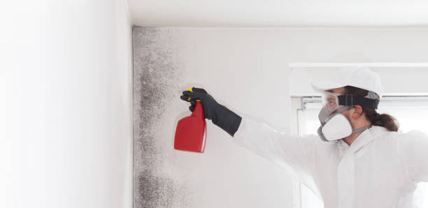 Best Mold Remediation for Specific Building Types in Goldendale, WA